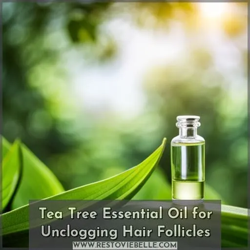 Tea Tree Essential Oil for Unclogging Hair Follicles