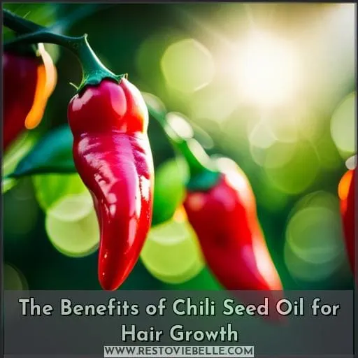 The Benefits of Chili Seed Oil for Hair Growth