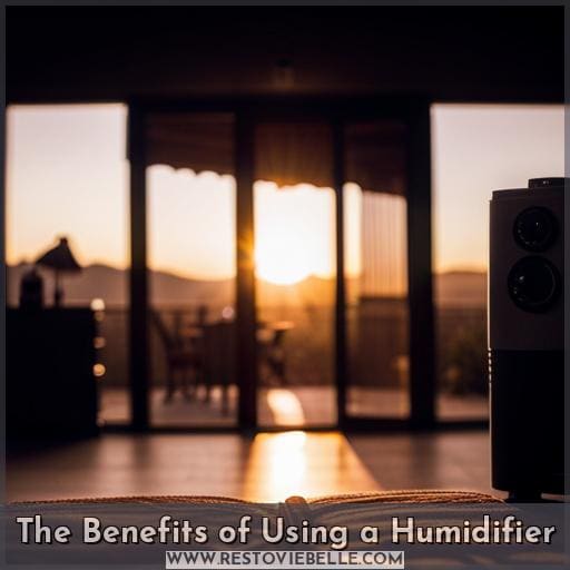 The Benefits of Using a Humidifier