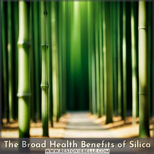 The Broad Health Benefits of Silica
