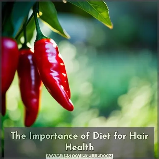 The Importance of Diet for Hair Health