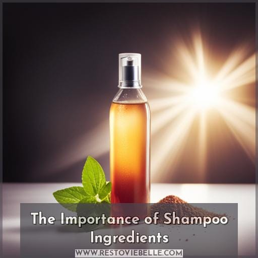 The Importance of Shampoo Ingredients