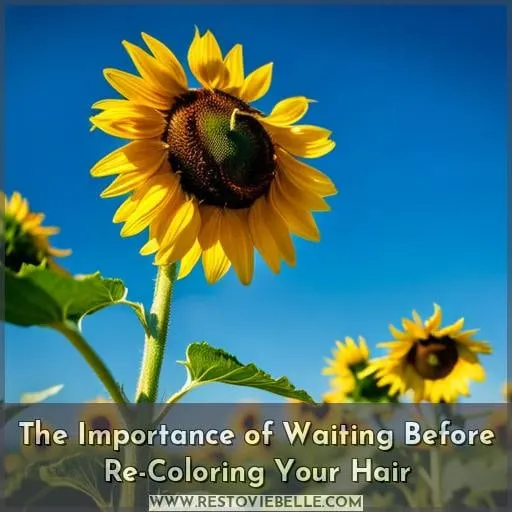 The Importance of Waiting Before Re-Coloring Your Hair