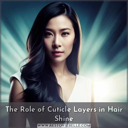 The Role of Cuticle Layers in Hair Shine