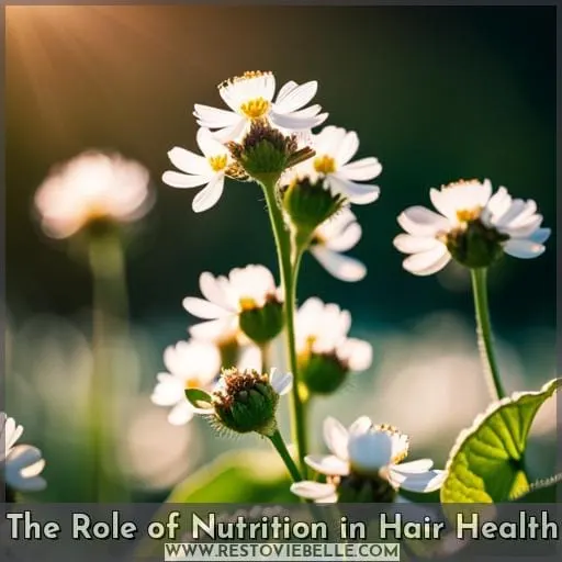 The Role of Nutrition in Hair Health