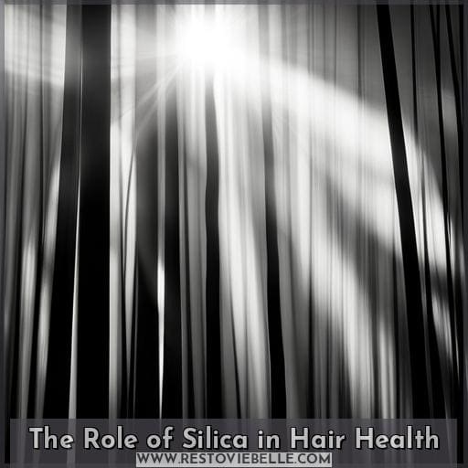 The Role of Silica in Hair Health