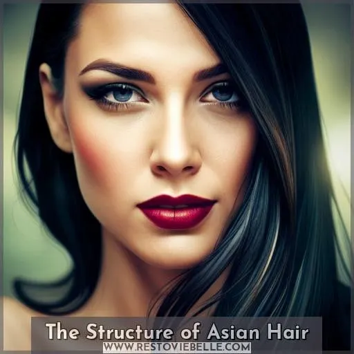 The Structure of Asian Hair