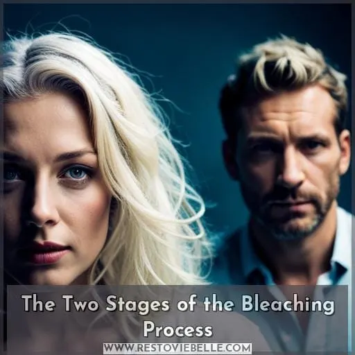 The Two Stages of the Bleaching Process