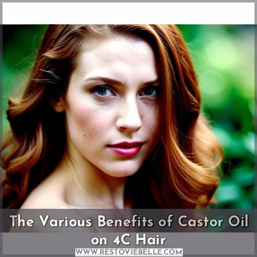 The Various Benefits of Castor Oil on 4C Hair
