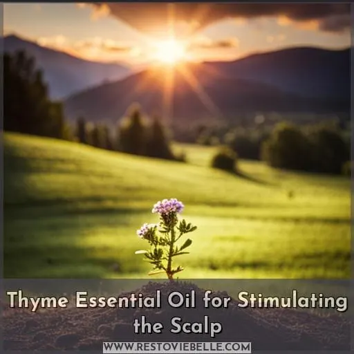 Thyme Essential Oil for Stimulating the Scalp