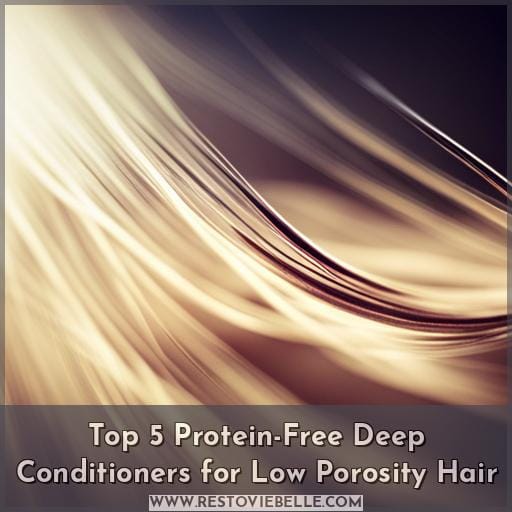 Top 5 Protein-Free Deep Conditioners for Low Porosity Hair