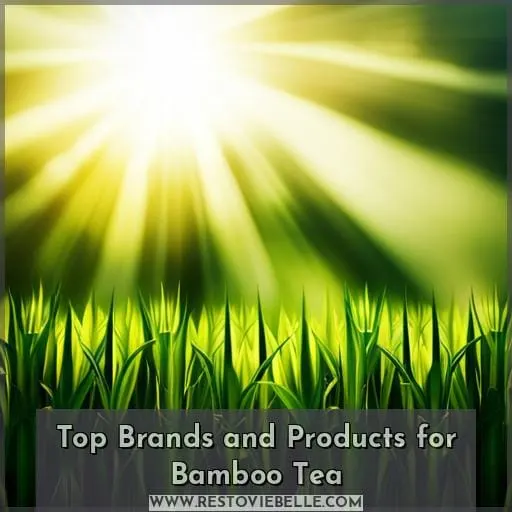 Top Brands and Products for Bamboo Tea