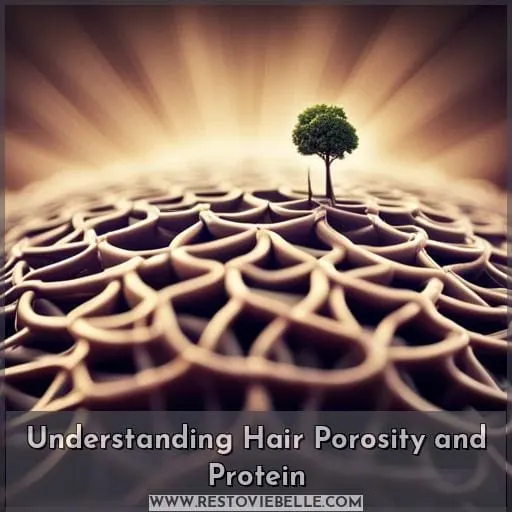 Understanding Hair Porosity and Protein