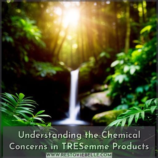 Understanding the Chemical Concerns in TRESemme Products