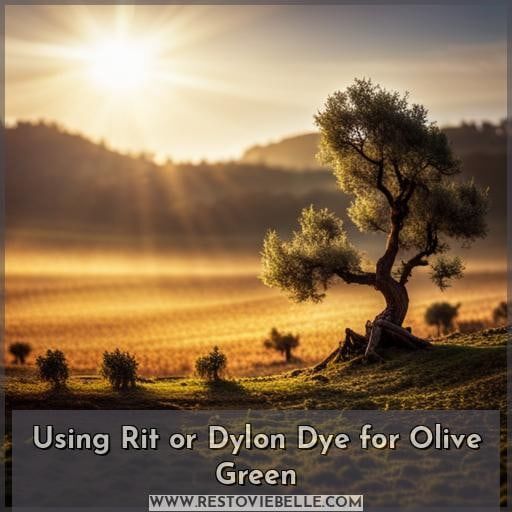 Using Rit or Dylon Dye for Olive Green