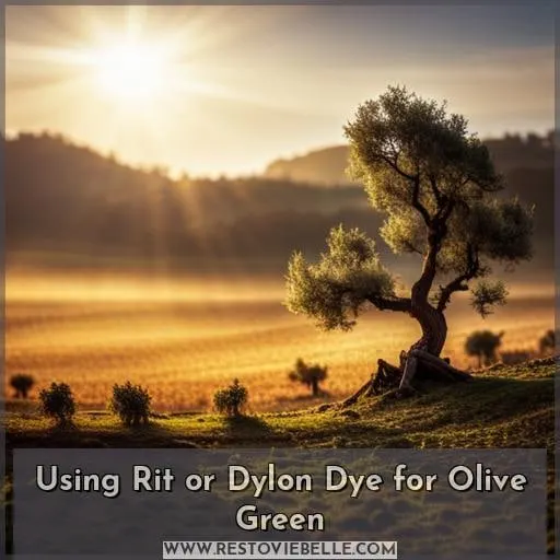 Using Rit or Dylon Dye for Olive Green