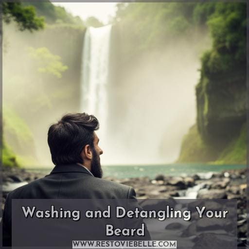 Washing and Detangling Your Beard