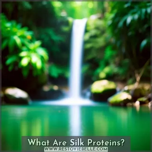 What Are Silk Proteins