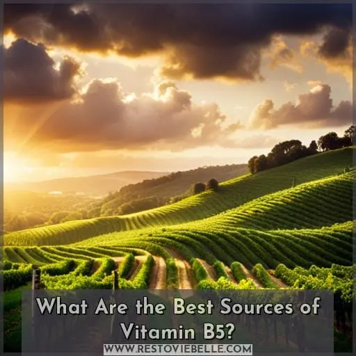 What Are the Best Sources of Vitamin B5
