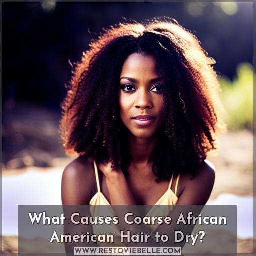 What Causes Coarse African American Hair to Dry