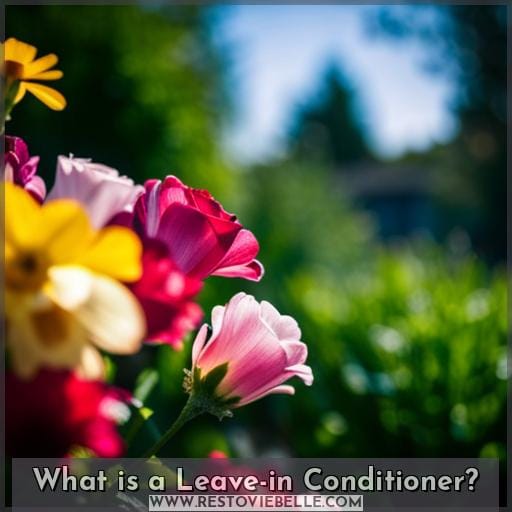 What is a Leave-in Conditioner