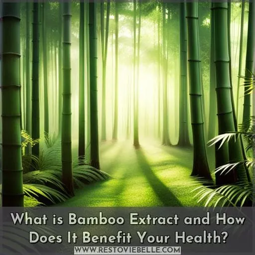 What is Bamboo Extract and How Does It Benefit Your Health