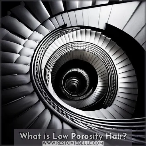 What is Low Porosity Hair