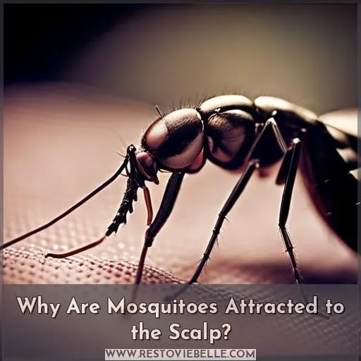 Why Are Mosquitoes Attracted to the Scalp
