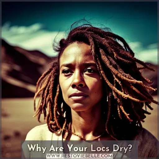 Why Are Your Locs Dry