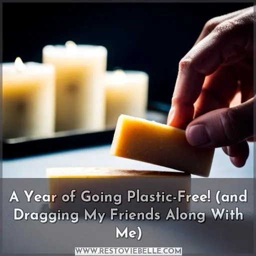 A Year of Going Plastic-Free! (and Dragging My Friends Along With Me)