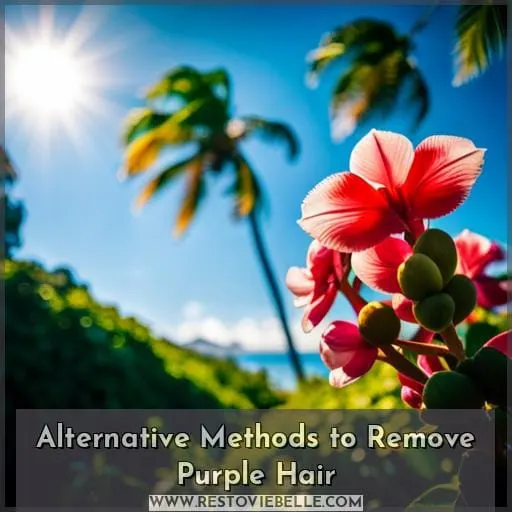 Alternative Methods to Remove Purple Hair
