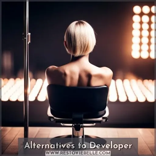 Alternatives to Developer