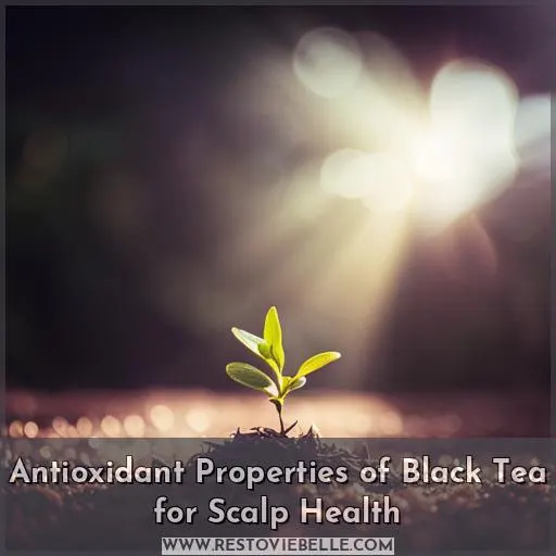 Antioxidant Properties of Black Tea for Scalp Health