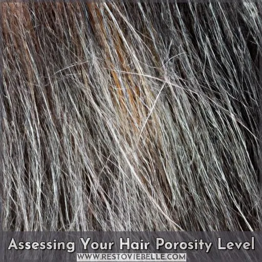 Assessing Your Hair Porosity Level