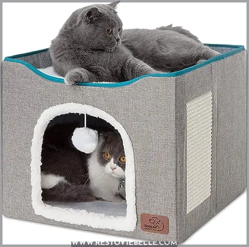 Bedsure Cat Beds for Indoor