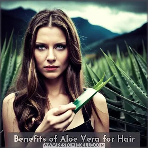 Benefits of Aloe Vera for Hair