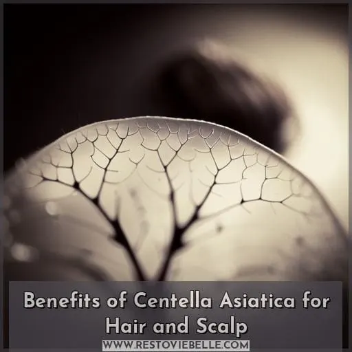 Benefits of Centella Asiatica for Hair and Scalp