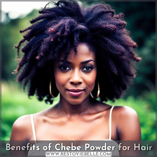 Benefits of Chebe Powder for Hair Benefits of Chebe Powder for Hair