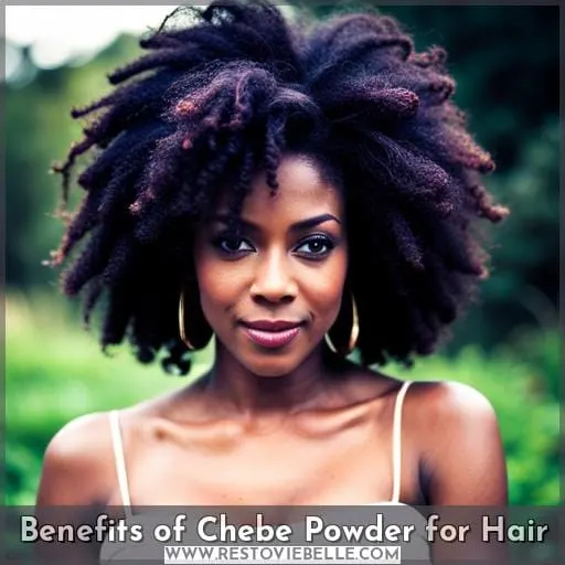Benefits of Chebe Powder for Hair