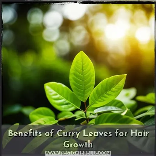 Benefits of Curry Leaves for Hair Growth