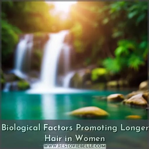 Biological Factors Promoting Longer Hair in Women