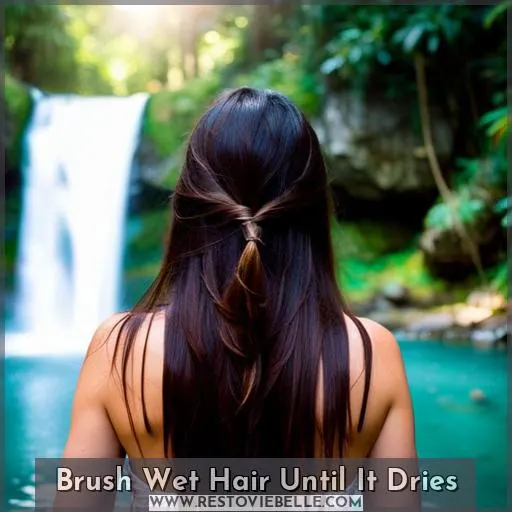 Brush Wet Hair Until It Dries