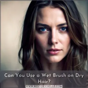 can you use wet brush on dry hair