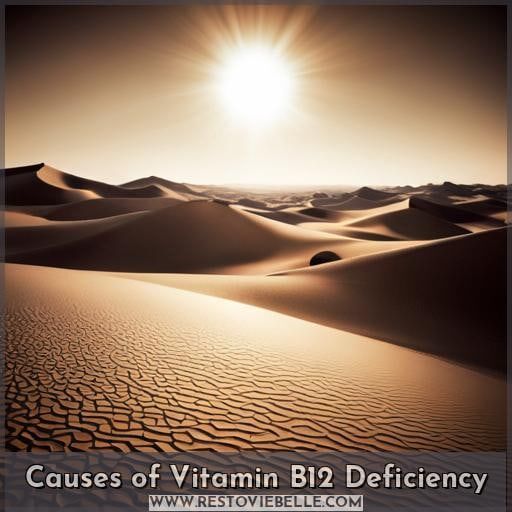Causes of Vitamin B12 Deficiency Causes of Vitamin B12 Deficiency