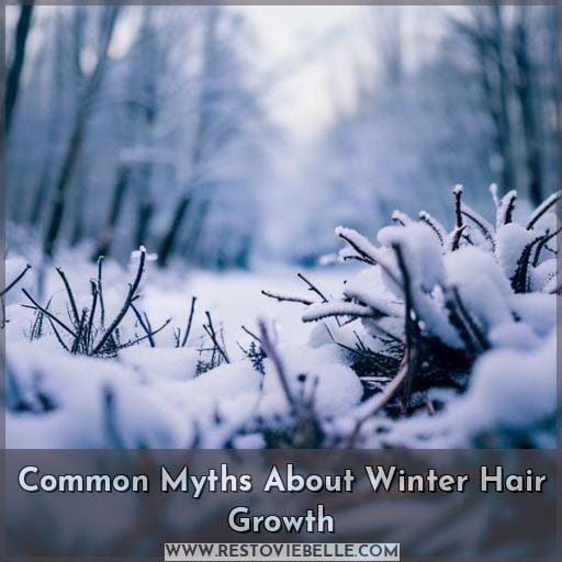 Common Myths About Winter Hair Growth