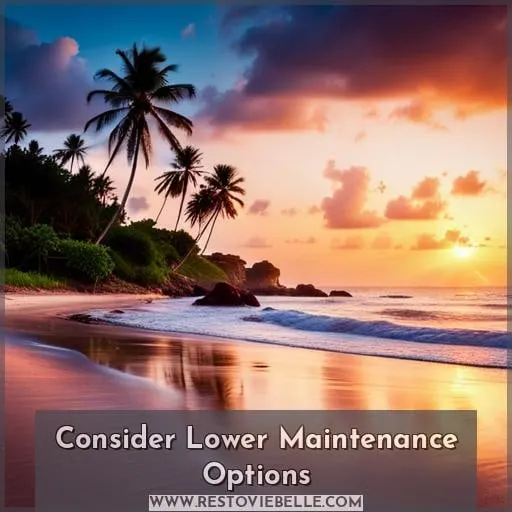 Consider Lower Maintenance Options