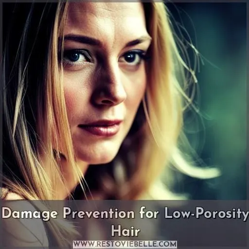 Damage Prevention for Low-Porosity Hair