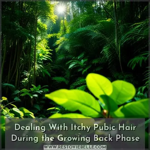 Dealing With Itchy Pubic Hair During the Growing Back Phase