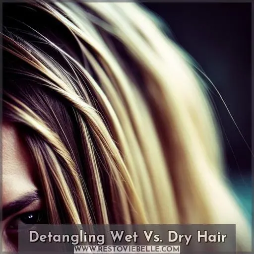 Detangling Wet Vs. Dry Hair