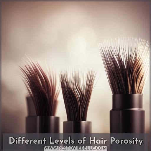 Different Levels of Hair Porosity